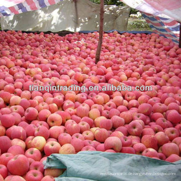 Apfel frisch rot Fuji